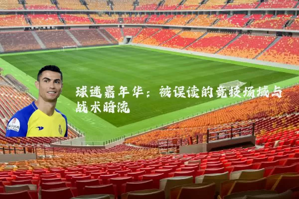 球迷嘉年华:被误读的竞技场域与战术暗流